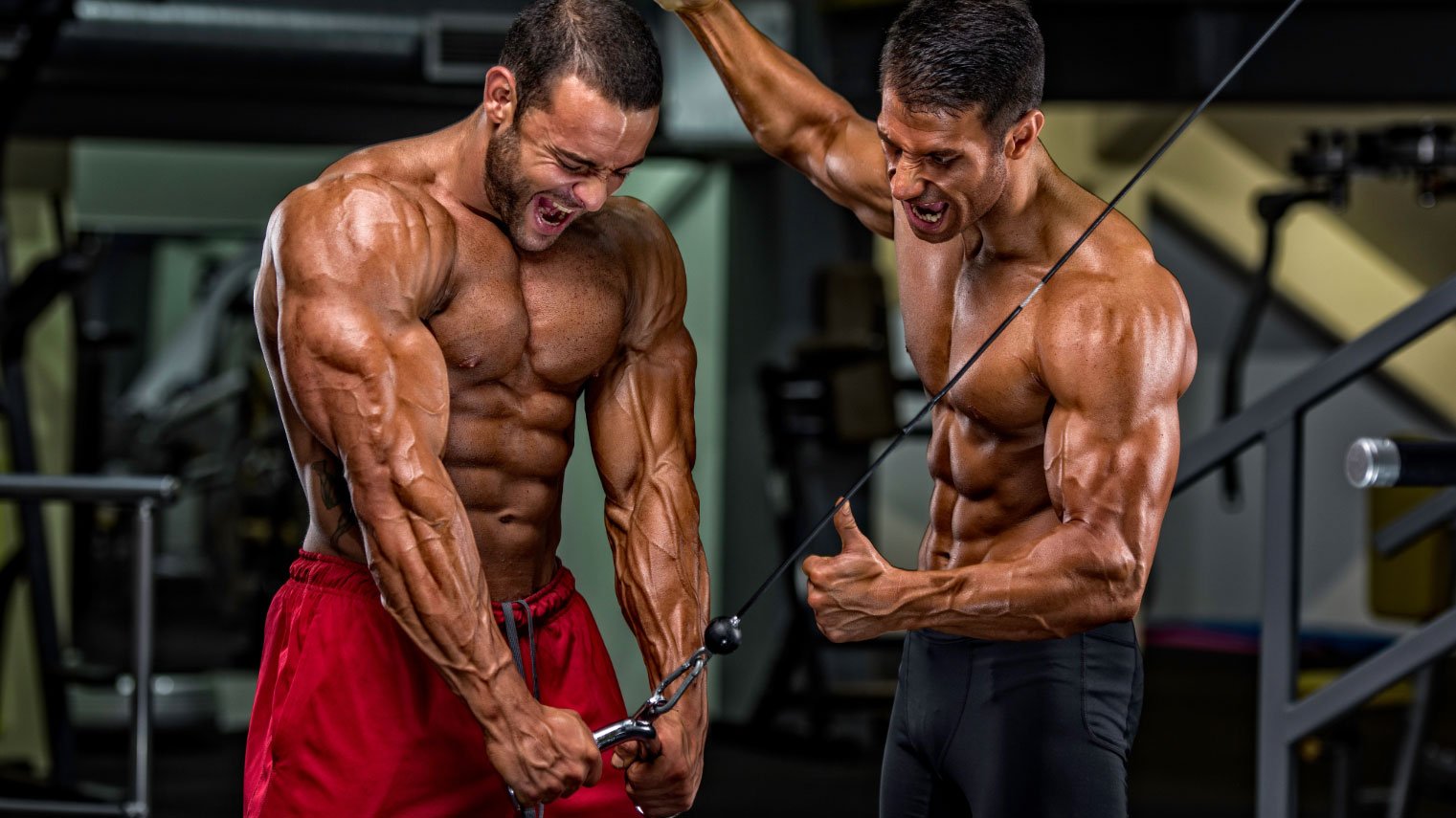 Articles Image Nandrolone Decanoate for Sale - What You Need to Know