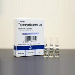 Testosterone Enanthate 250